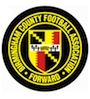 Birmingham County FA logo